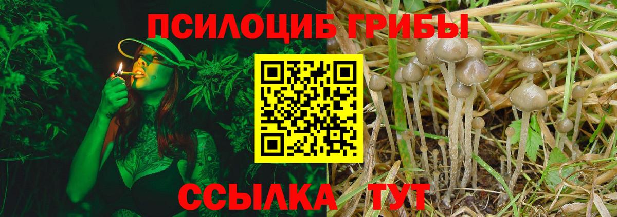 Галлюциногенные грибы Cubensis Вязьма