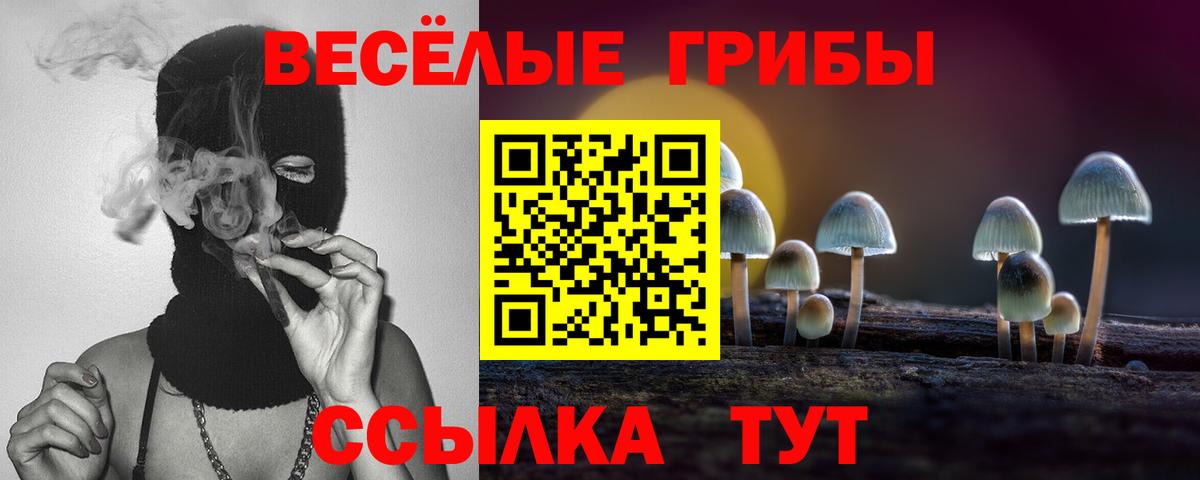 Галлюциногенные грибы мицелий  Галлюциногенные грибы MAGIC MUSHROOMS  Вязьма  Вход с VPN 